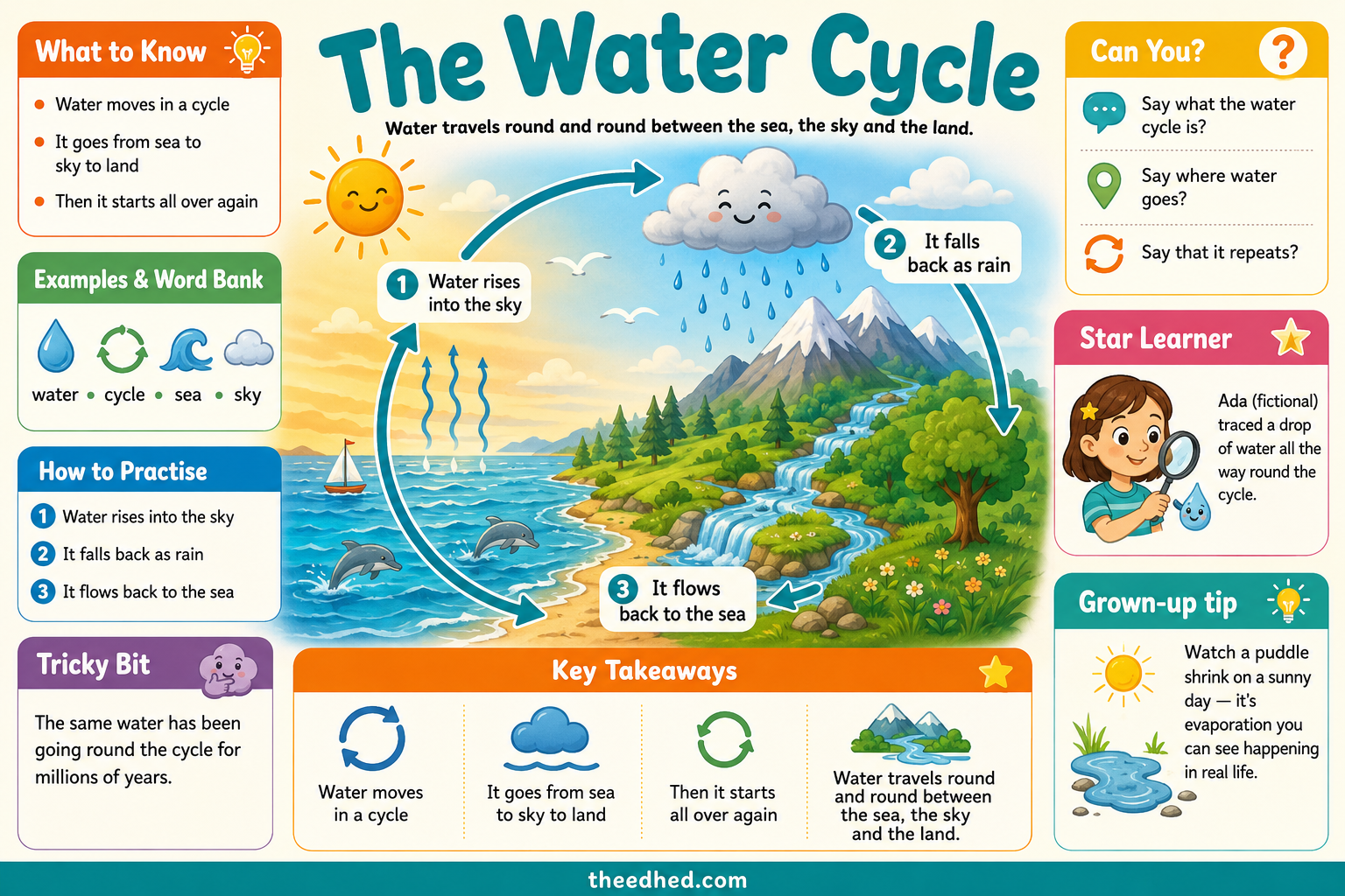 The Water Cycle educational infographic showing water moving from sea to sky to land