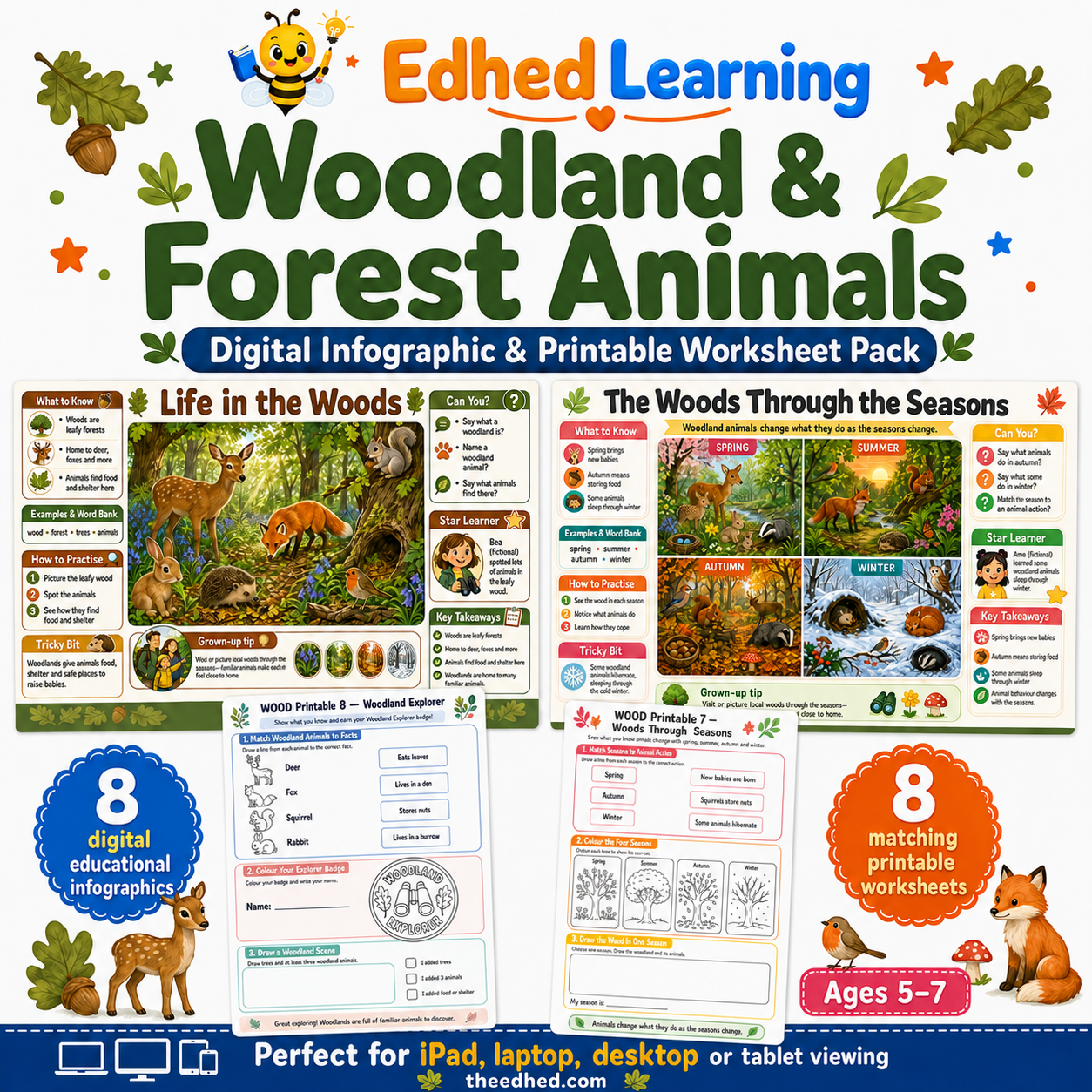 Woodland and Forest Animals digital infographic and printable worksheet pack for ages 5 to 7